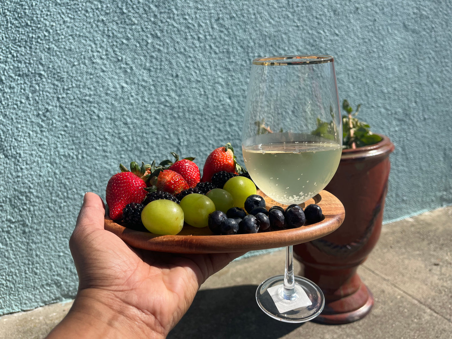 Wine Appetizer Plates